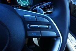 2023 Hyundai Palisade Calligraphy Black Ink