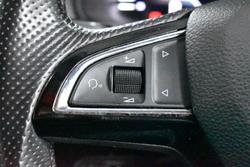 2019 SKODA Karoq 110TSI