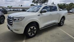 2021 GWM Ute Cannon-X