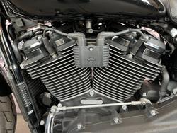 2023 Harley-davidson FXLRS LOW RIDER S (117) Black