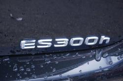 2024 Lexus ES 300h F Sport