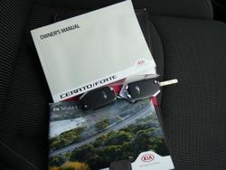 2019 Kia
                Cerato S