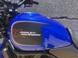 2025 Harley-Davidson X 500 X Blue