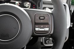 2025 GWM
                Cannon Vanta