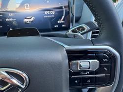 2025 LDV Terron 9 Origin