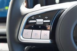 2025 GWM
Cannon Alpha Lux PHEV