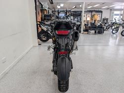 2022 Triumph TIGER 1200 RALLY PRO SILVER ICE
