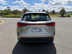 2024 Lexus NX 350h Luxury