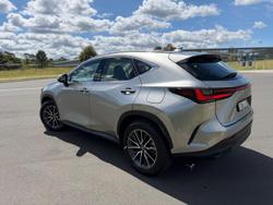 2024 Lexus NX 350h Luxury