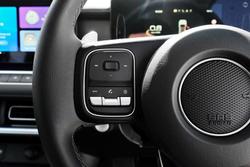 2025 GWM
                Cannon Lux