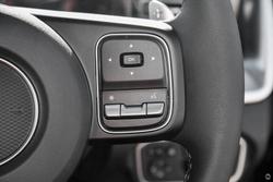 2025 GWM Cannon Premium