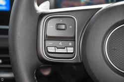 2025 GWM Cannon Premium