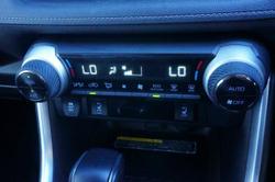 2020 Toyota
                RAV4 Cruiser