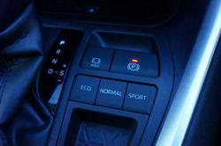 2020 Toyota
                RAV4 Cruiser