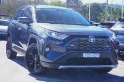 2020 Toyota
                RAV4 Cruiser