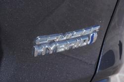 2020 Toyota RAV4 Cruiser