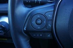 2020 Toyota
                RAV4 Cruiser