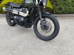 2017 Triumph STREET SCRAMBLER