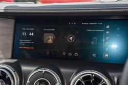 2025 GWM Tank 300 Lux