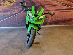 2025 Kawasaki Ninja ZX-4R Ninja Green