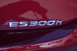 2019 Lexus ES 300h Sports Luxury