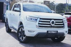 2022 GWM Ute Cannon-X