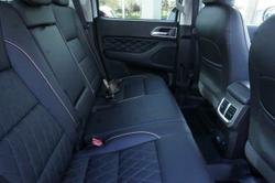 2022 GWM
                Ute Cannon-X