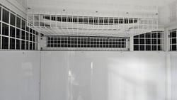 2025 Mcneill 6 Berth Dog Trailer