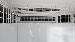 2025 Mcneill 6 Berth Dog Trailer