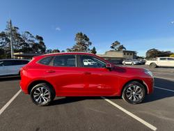 2023 GWM Haval Jolion Premium