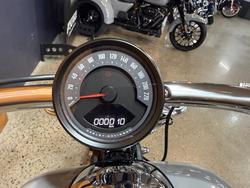 2025 Harley-davidson FXBR BREAKOUT (117) Billiard Gray