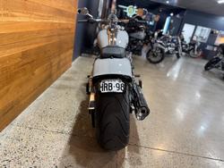 2025 Harley-davidson FXBR BREAKOUT (117) Billiard Gray