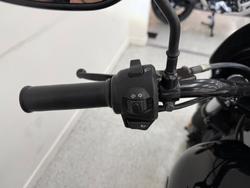 2015 Harley-davidson STREET 500 (LAMS) Black