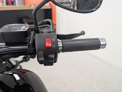 2017 YAMAHA STAR STRYKER XVS1300CU Black