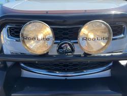 2016 Holden
                Colorado LS-X