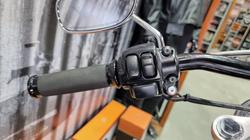 2007 Harley-davidson FXDL DYNA LOW RIDER RED PEARL