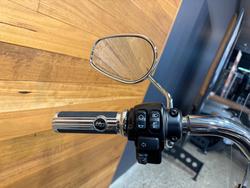 2019 Harley-davidson FLFBS FAT BOY S (114) Blue