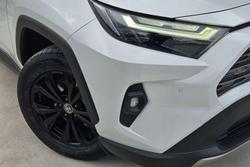 2023 Toyota RAV4 Cruiser