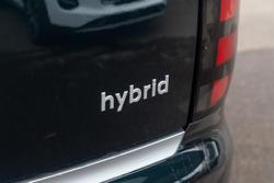 2025 Hyundai
                Palisade Calligraphy