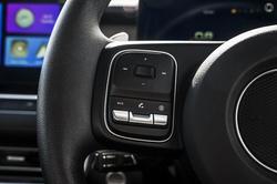 2025 GWM Cannon Premium