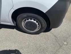 2025 Windsor Daintree