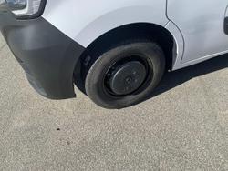 2025 Windsor Daintree