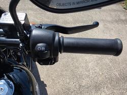 2020 HARLEY-DAVIDSON XG500 STREET 500 BLACK