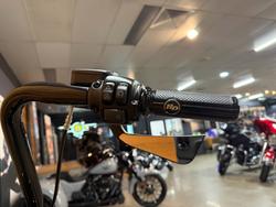 2019 Harley-davidson FLFBS FAT BOY S (114) (CUST) BLACK