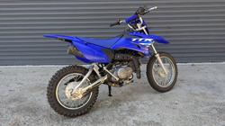 2025 Yamaha 2025 Yamaha 110CC TTR110ES Blue