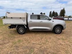 2021 GWM Ute Cannon