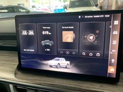 2025 GWM Cannon Alpha Lux PHEV P05 Four Wheel Drive Marble White