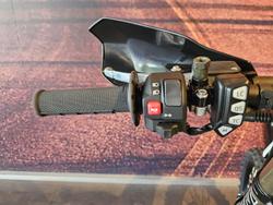 2025 Triumph TF 450-E Off Road White