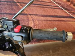 2025 Triumph Bonneville T120 Bonneville Red