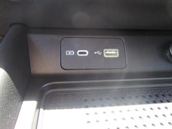 2025 GWM Cannon Premium